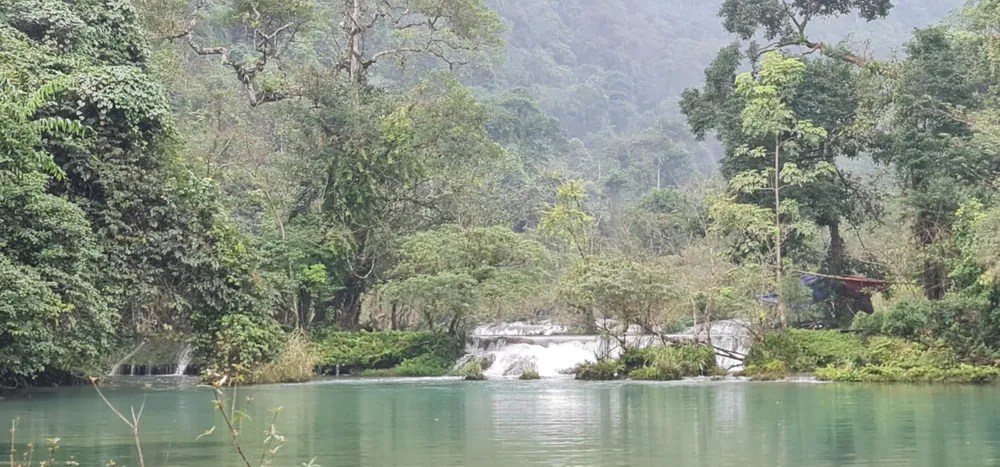 Suối Chà Rào thơ mộng nơi gia đình chị Thăn nuôi heo rừng dưới tán rừng, không cần chuồng trại