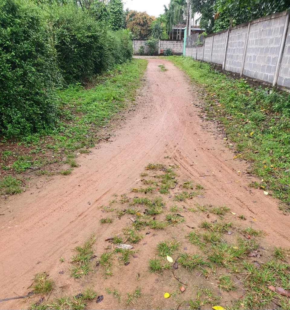 Thôn Thu Thừ còn 900m đường đất chưa được bê tông