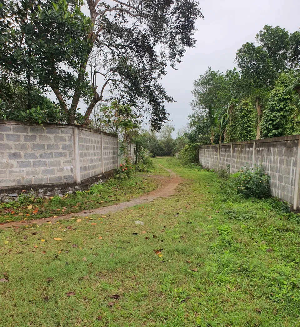 Nhiều khu dân cư ở Thu Thừ không có đường bê tông