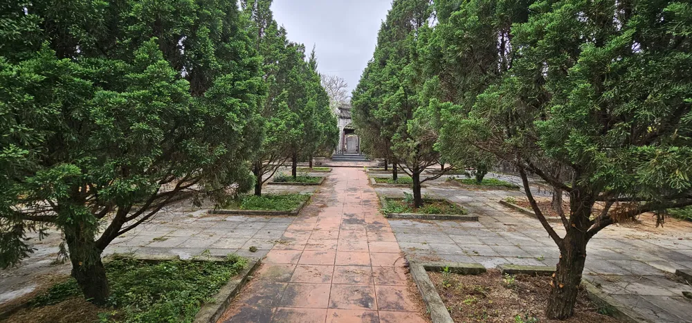 Lối vào lăng mộ trồng nhiều cây tùng Lối vào lăng mộ trồng nhiều cây tùng