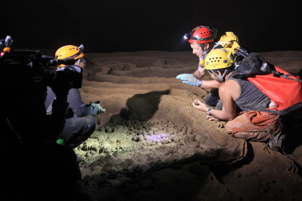 Hang động thu hút sự chú ý toàn thế giới