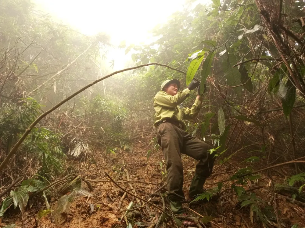 nhan-vien-vuon-quoc-gia-pu-mat-nghe-an-go-bay-thu-rung-do-cac-doi-tuong-san-trom-giang-ra-anh-duy-cuong3-5296.jpeg