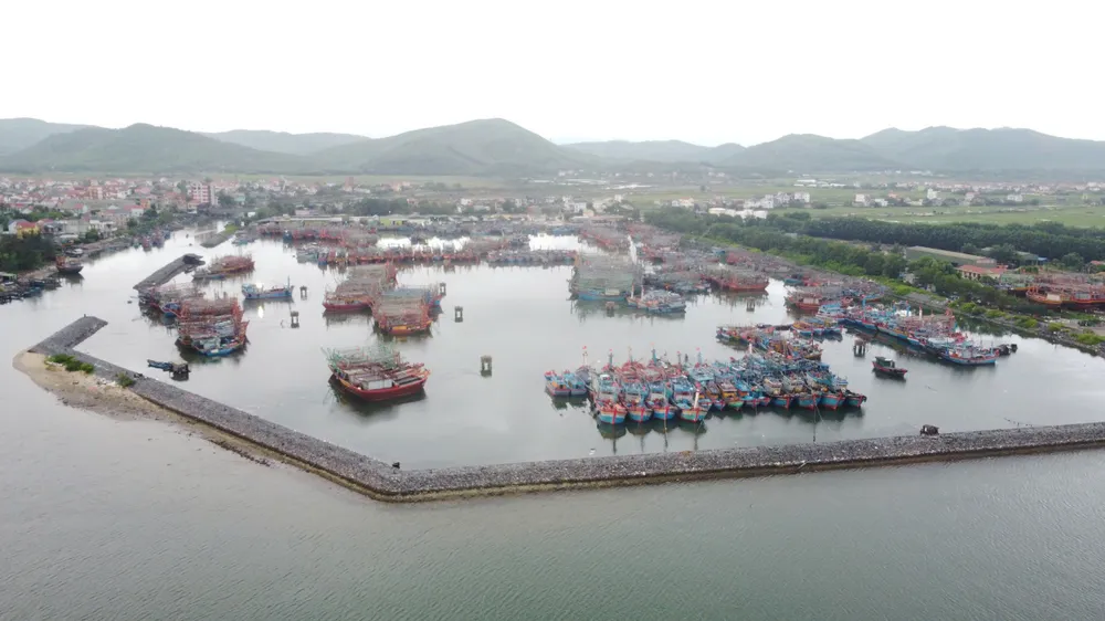 Tàu thuyền vào âu thuyền trú tránh