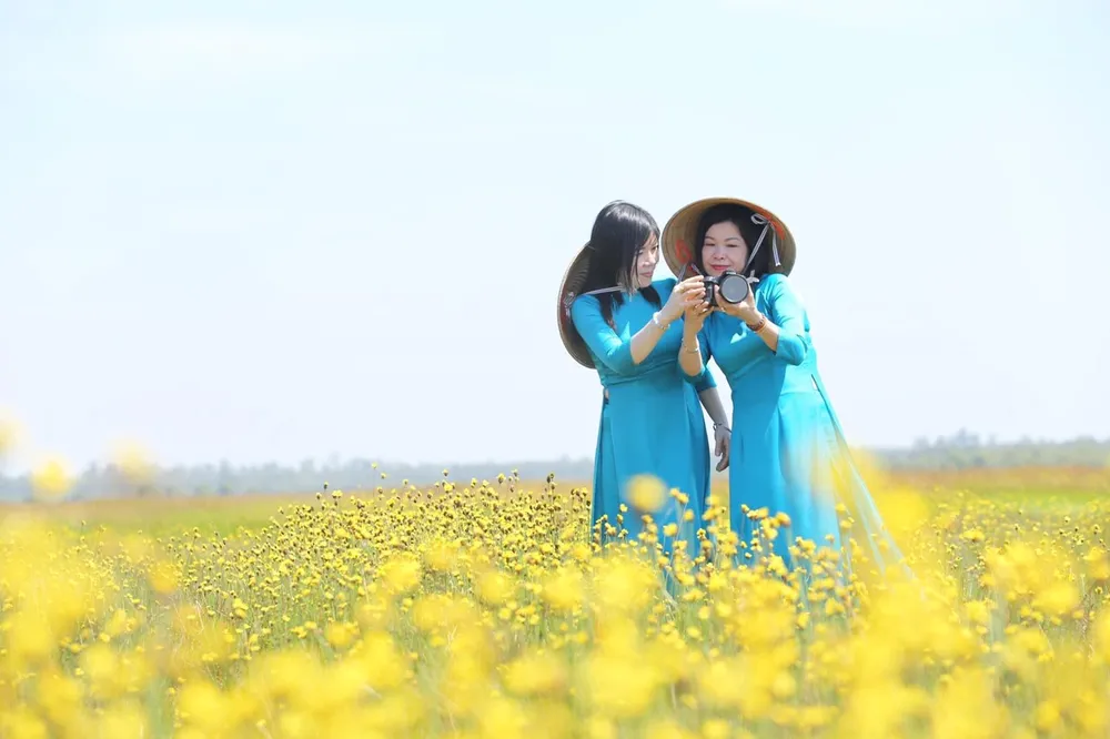 Loài hoa chỉ nở mỗi ngày 4 giờ tại Vườn quốc gia Tràm Chim ảnh 1