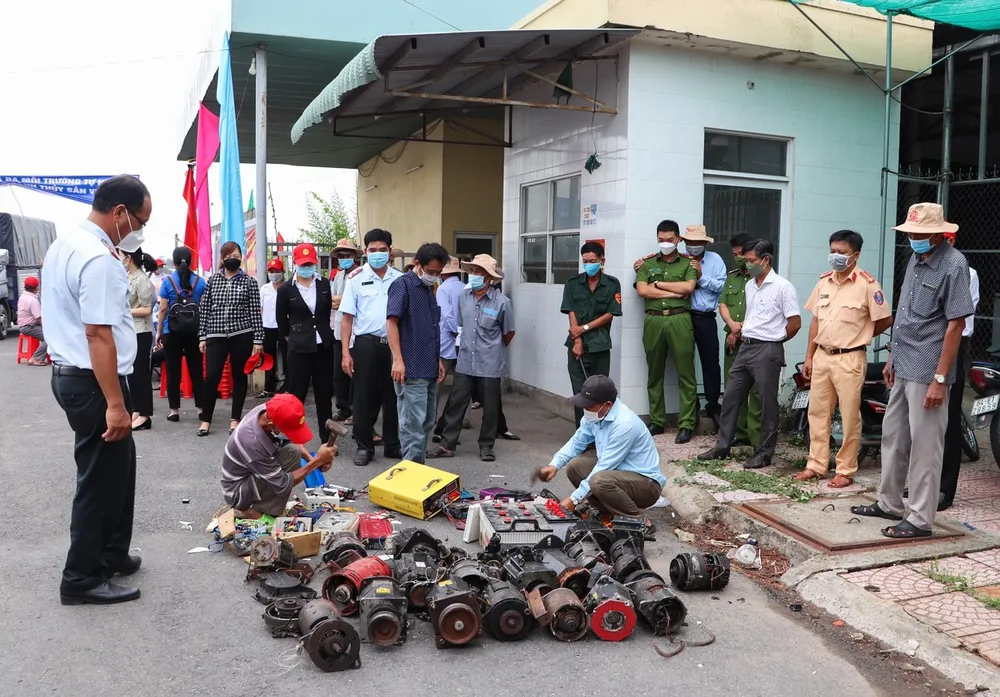 Sóc Trăng thả 4,3 triệu con giống thủy sản ra biển  ảnh 3