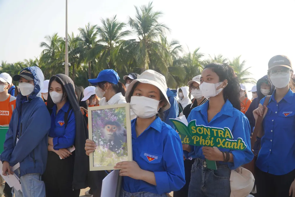 Chung tay bảo vệ Sơn Trà - lá phổi xanh