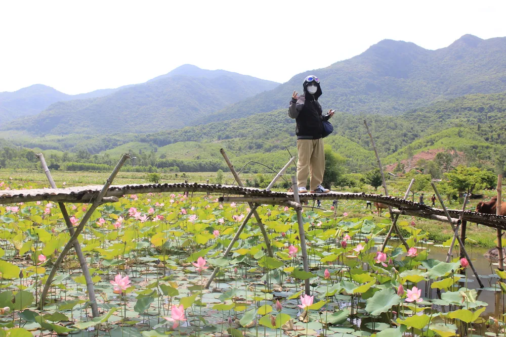 Nhiều bạn trẻ đi theo google map để đến Trà Lý ngắm sen, chụp ảnh hoa sen, check in...