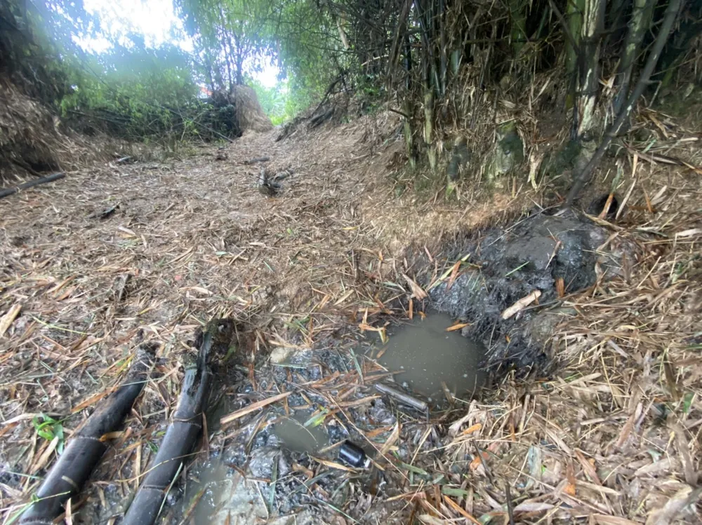 Nước thải có màu đen kịt, bốc mùi hôi thối khắp nơi