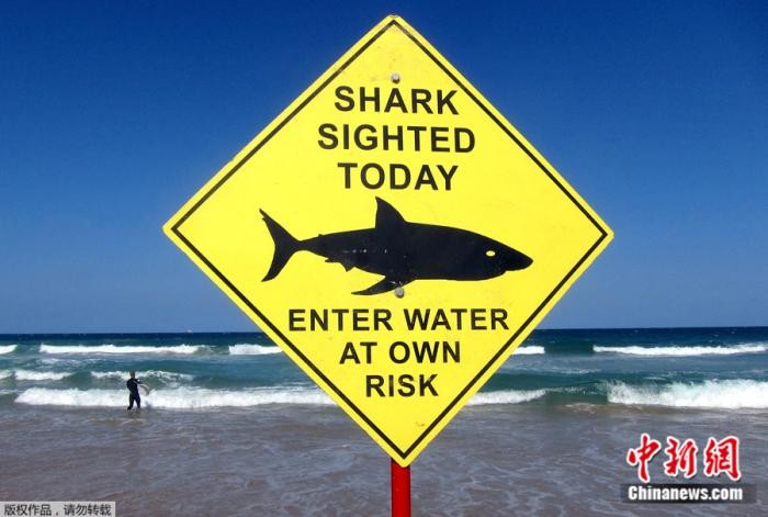 悉尼多處海灘自17日起關閉。（圖源：互聯網）