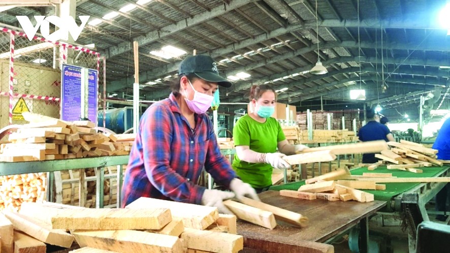 隆安省准予新冠患者上班工作