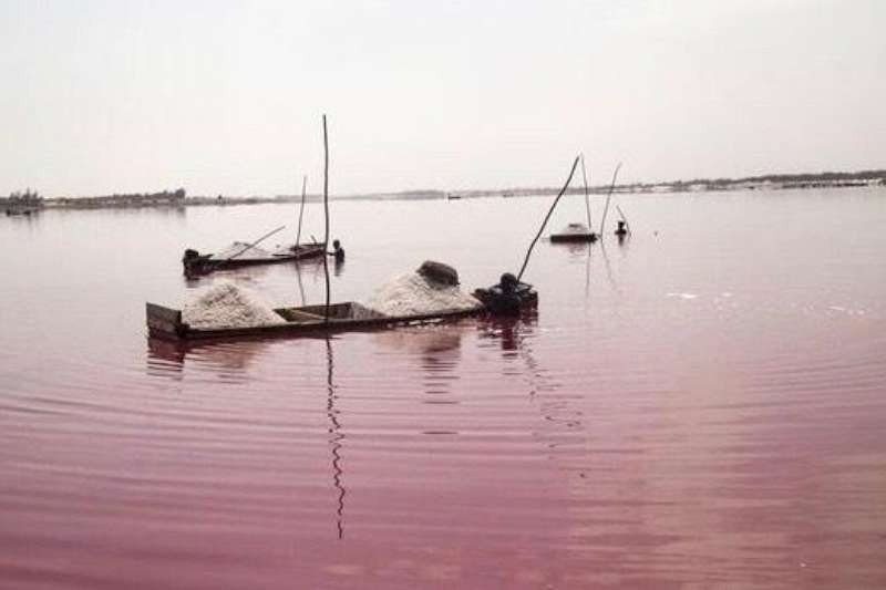 塞內加爾玫瑰湖，粉紅色的“死海” ảnh 1