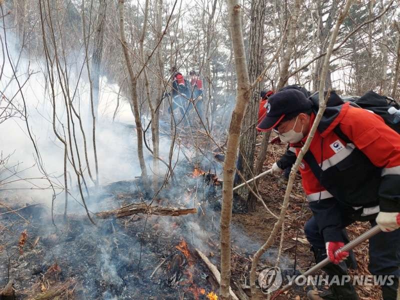　　消防人員在蔚珍郡金剛松生態群落進行撲滅。