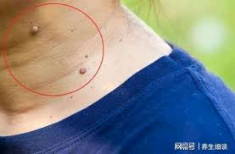 （示意圖源：互聯網）