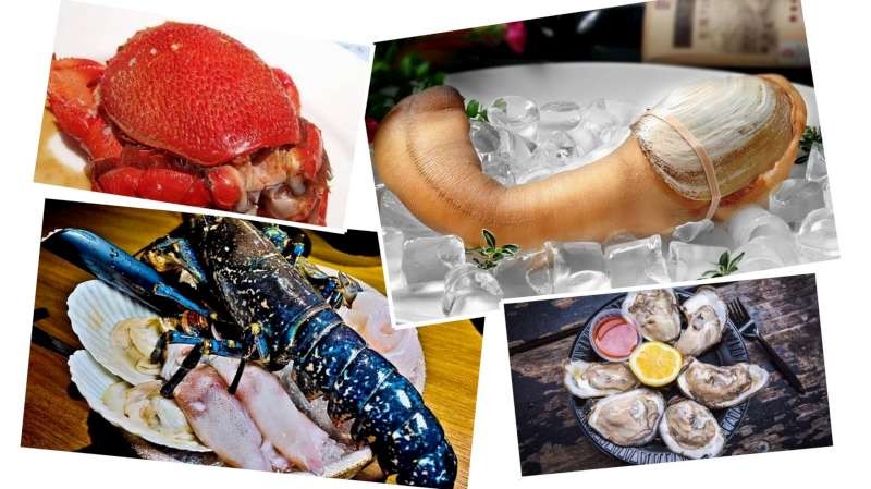 （示意圖源：互聯網）