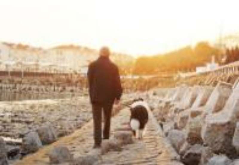 （示意圖源：互聯網）