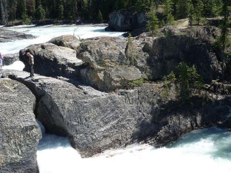 加拿大優鶴國家公園 ảnh 1