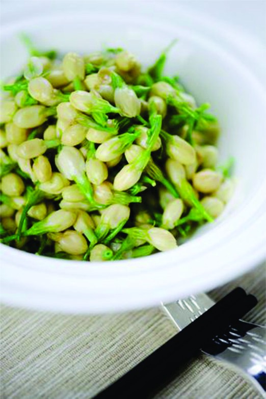 （示意圖源：互聯網）