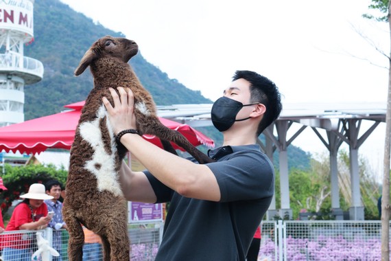 越南美麗太陽能發電廠向遊客開放 ảnh 4