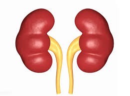 （示意圖源：互聯網）