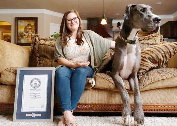 宙斯體形龐大。