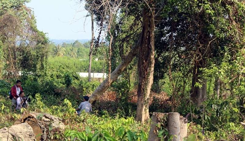 （示意圖源：互聯網）