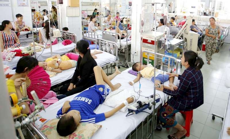 雨季是登革熱病例激增的時期。