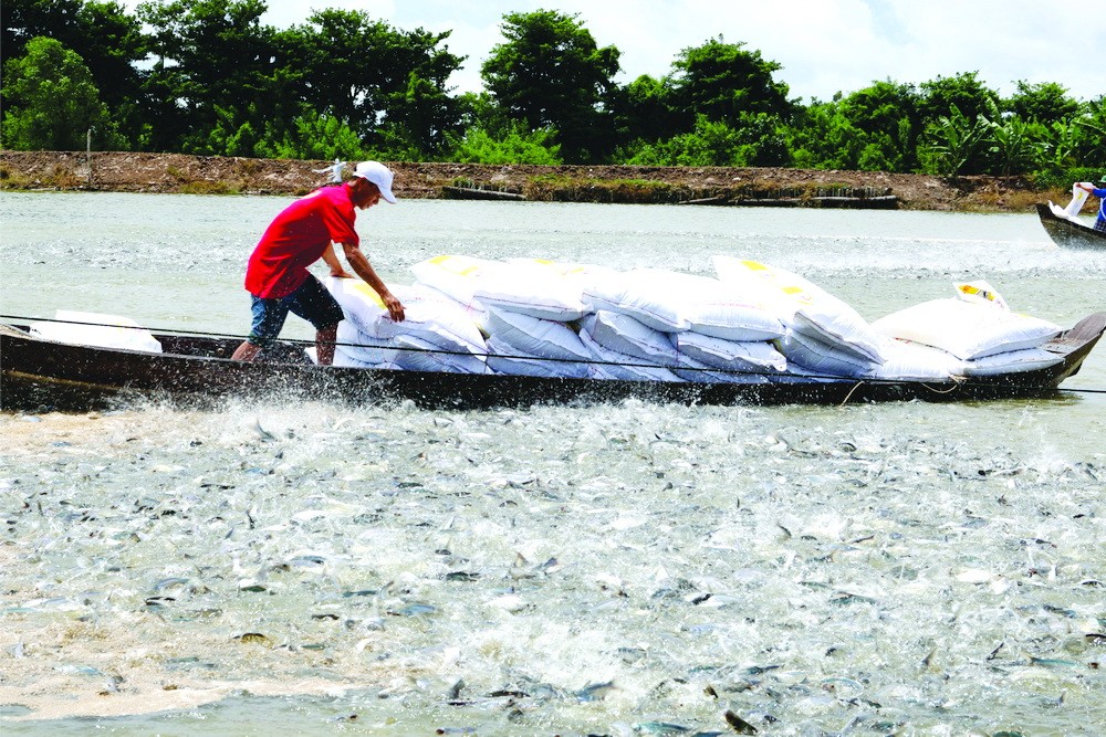 激發內生動力促進價值鏈完整連接 ảnh 1