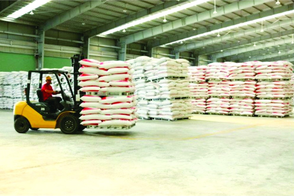 激發內生動力促進價值鏈完整連接 ảnh 4