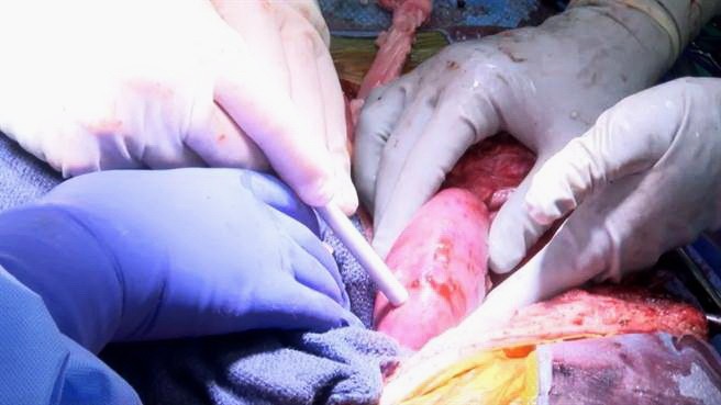 （示意圖源：互聯網）