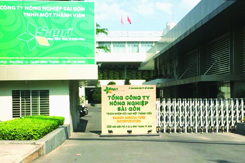 本市對多名幹部實施紀律處分