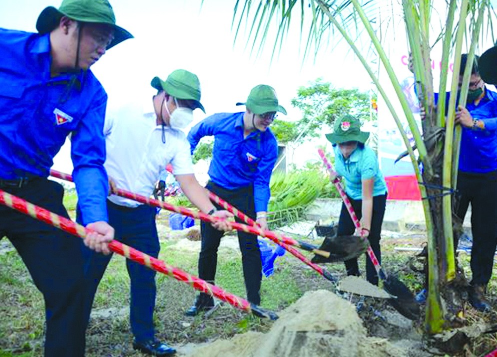 參加暑期志願青年行動的共青團員植樹綠化環境。