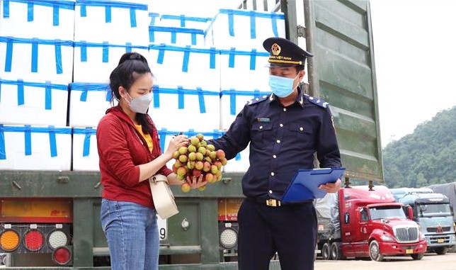 諒山促進鮮果與鮮花出口