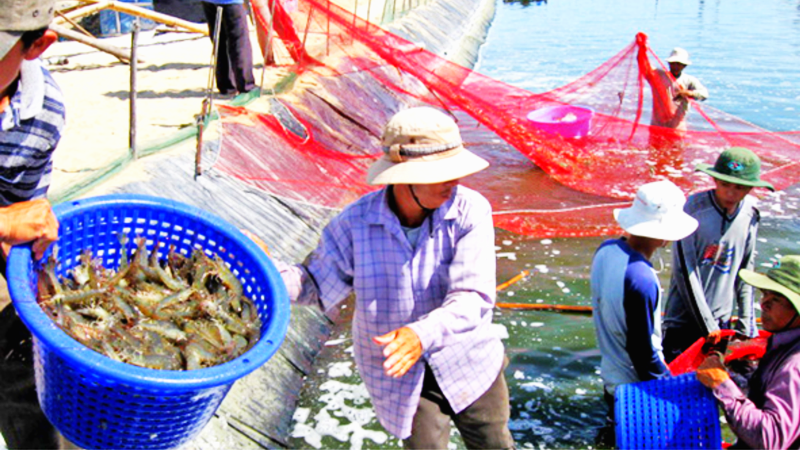 檳椥省擁有海洋與其他多領域經濟發展優勢。