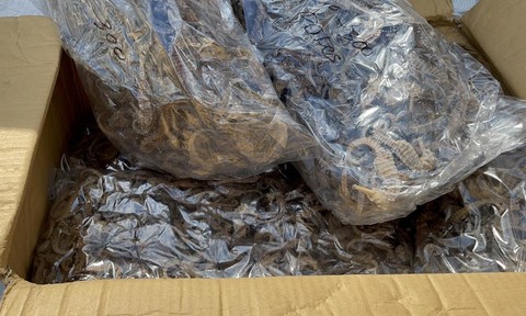 （示意圖源：互聯網）