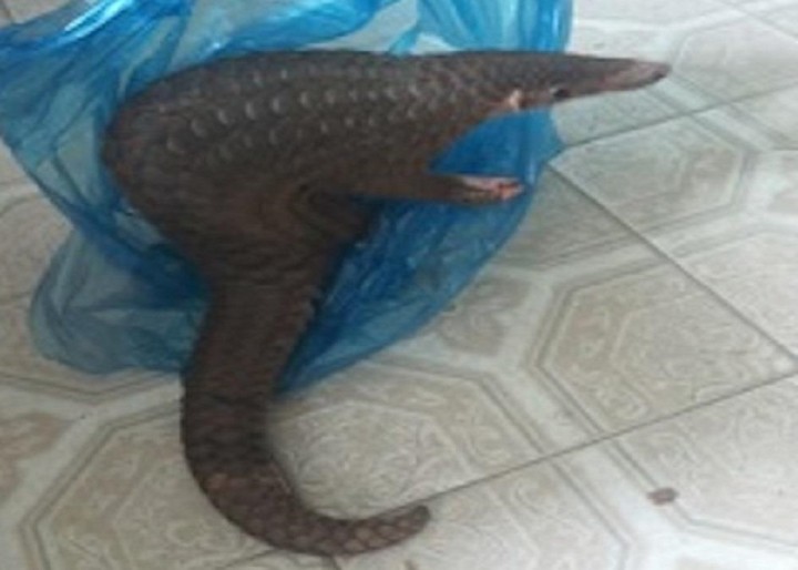 （示意圖源：互聯網）