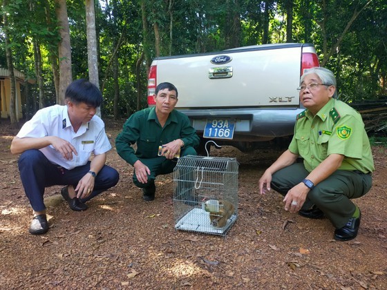 （示意圖源：互聯網）