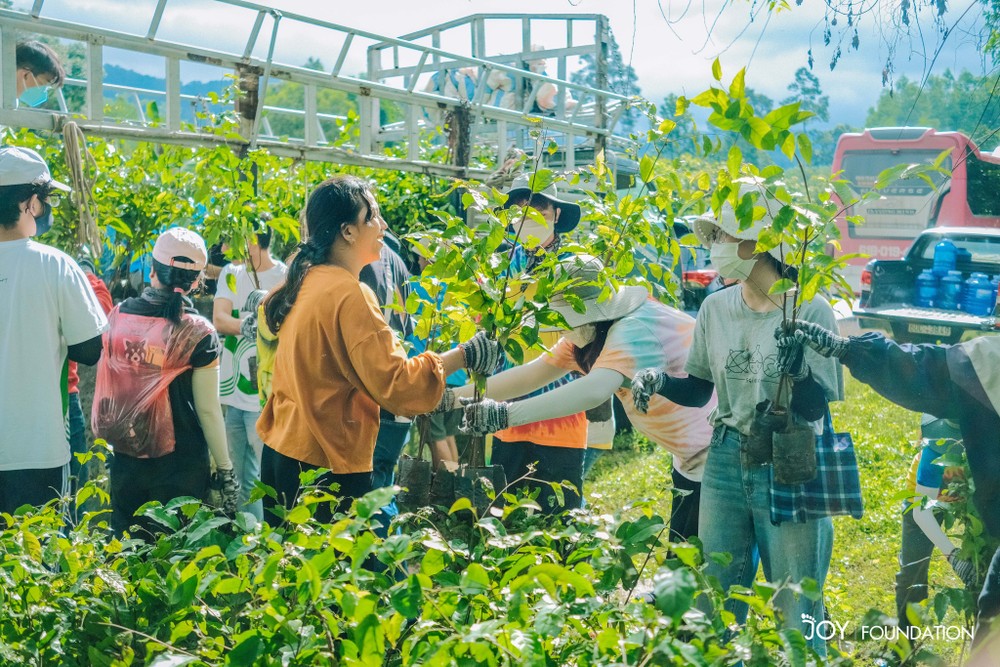 為國家和未來添綠化環境