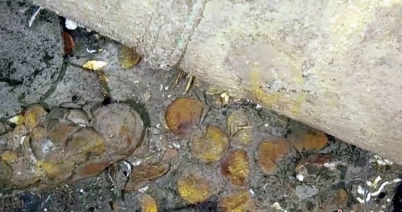 （示意圖源：互聯網）