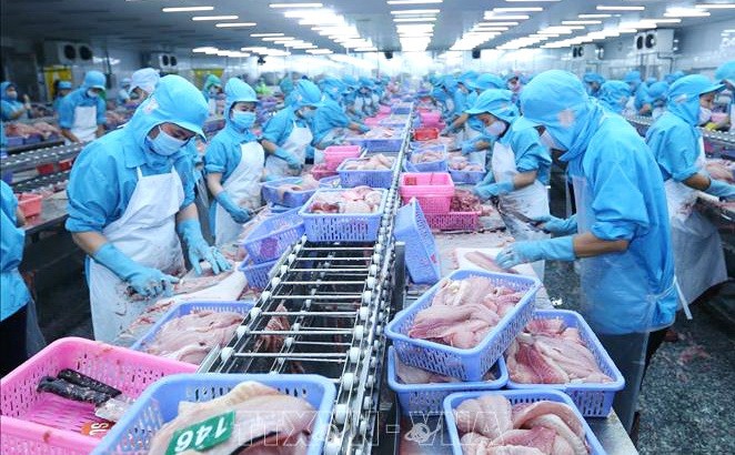 南部水產品工業有限責任公司的工廠出口查魚加工線。