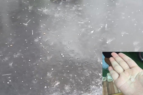 昨天本市若干地方降冰雹