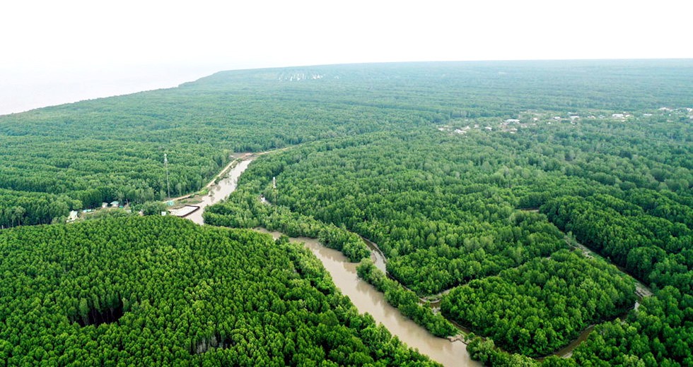 從高處瞻望的金甌角 國家公園。