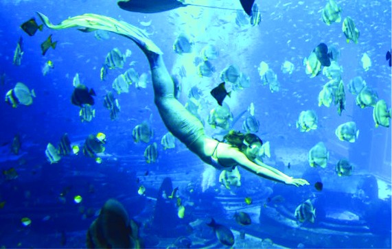 南非首創“人魚學校”