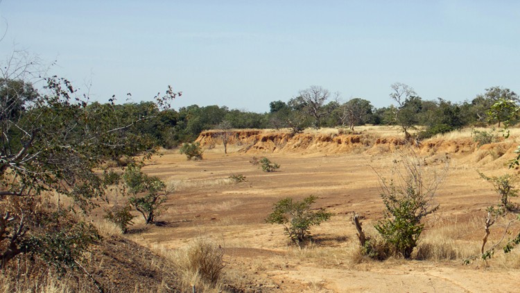 （示意圖源：互聯網）