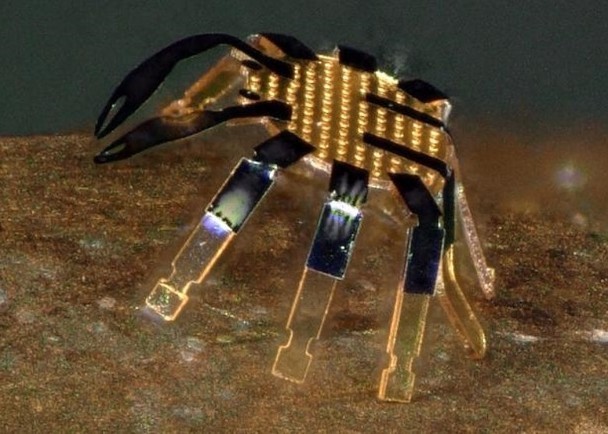 史上最小遙控步行機械人