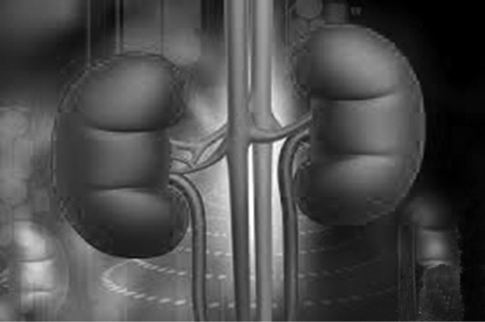 ６個表現說明進入慢性腎炎階段