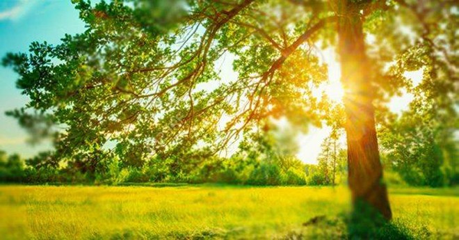 （示意圖源：互聯網）