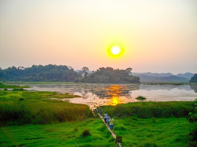 吸引遊客的蒲筲。