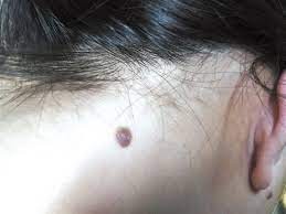 （示意圖源：互聯網）