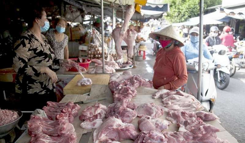 立即採取措施以平抑豬肉價格
