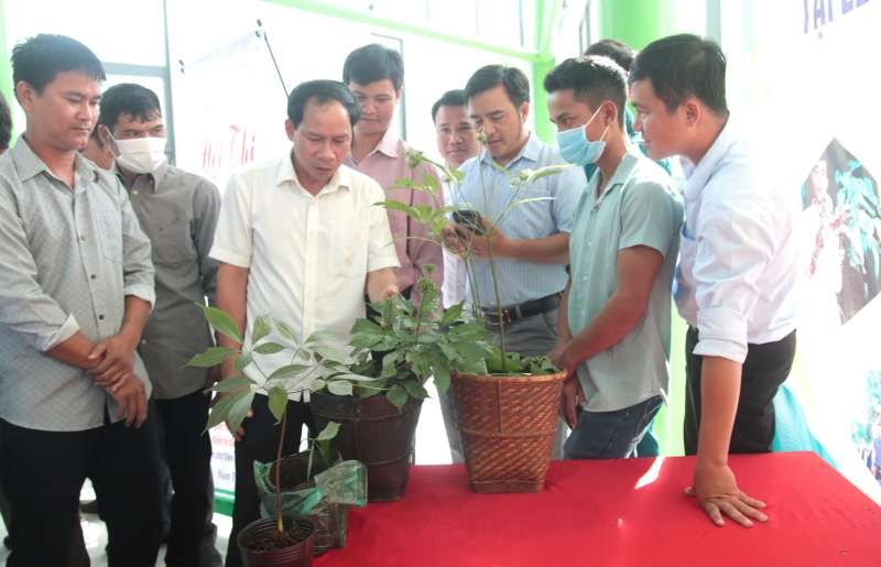 第四次玉玲參盛會舉辦